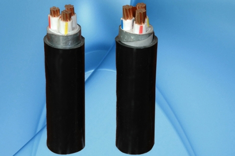 Cáp điện lực hạ thế CXV/DATA − 0,6/1 KV & CXV/DSTA − 0,6/1 KV- Cadivi