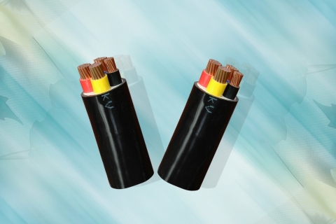 Cáp điện lực hạ thế CVV – 300/500 V - Cadivi